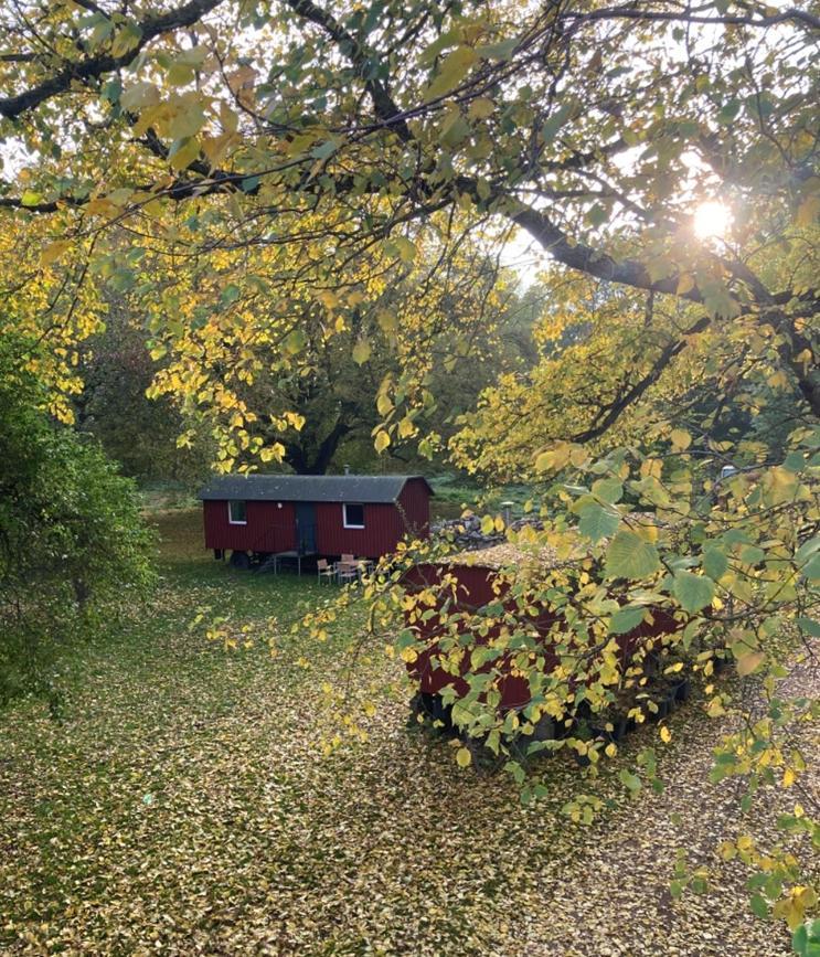 Hotel Schaeferwagen Auf Dem Biogut-Saalkow Gustow  Exterior foto